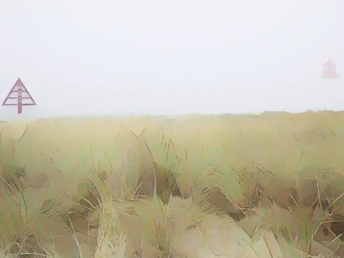 The air on Sylt was unusually thick this year