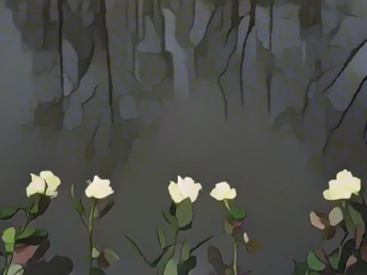 Persecution of Sinti and Roma: Bundestag adopts motion on antiziganism