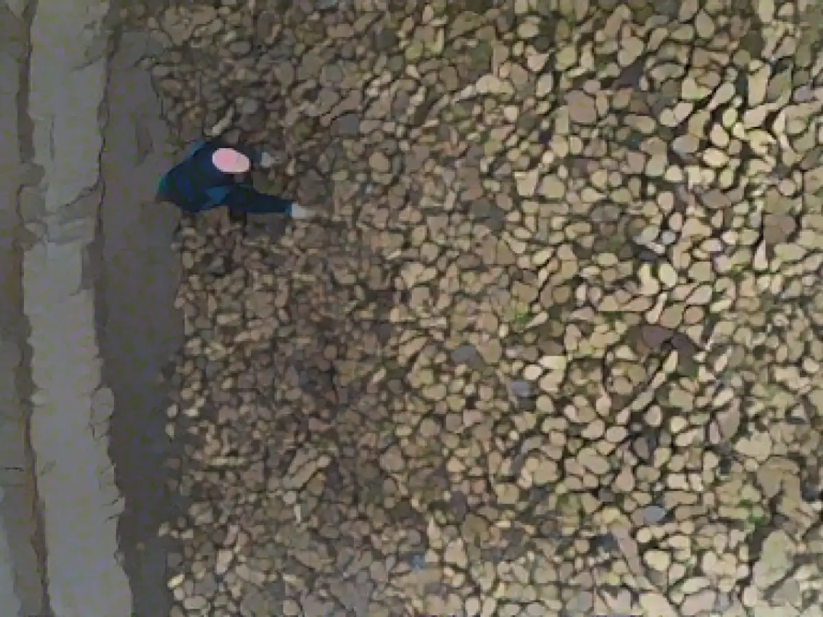 Rain hampers sugar beet harvest - yield inconsistent