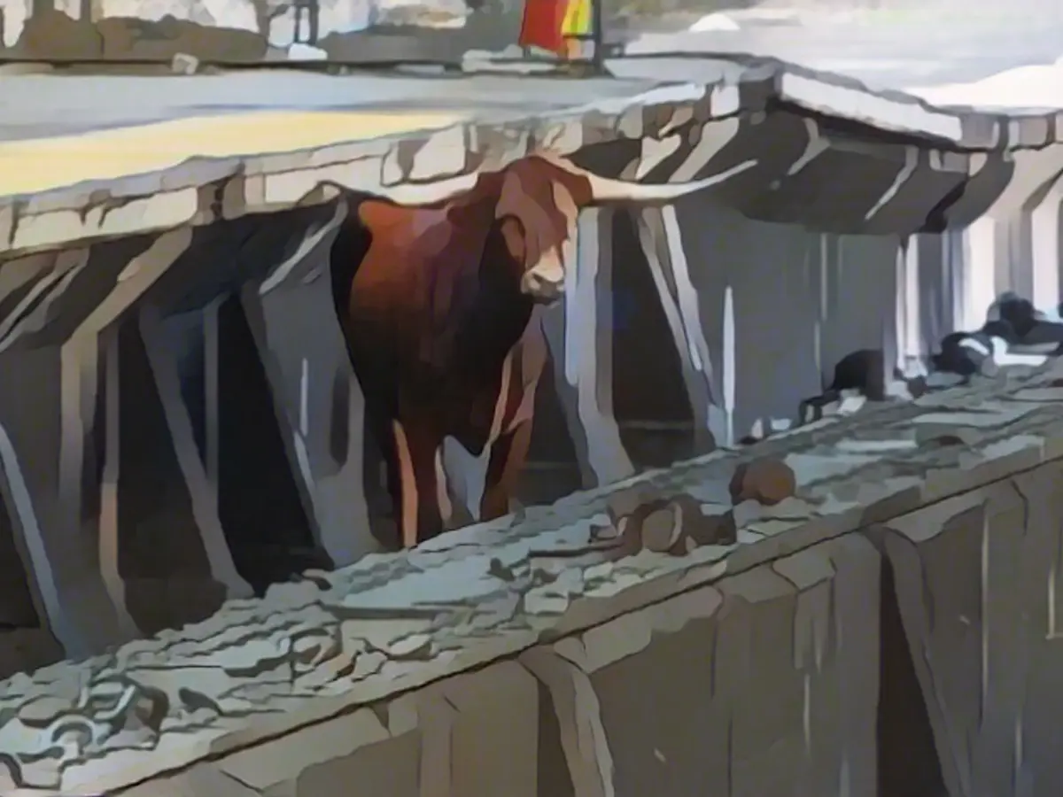 Texas Longhorn has suspended train service in New Jersey and will spend the remainder of its days in a shelter