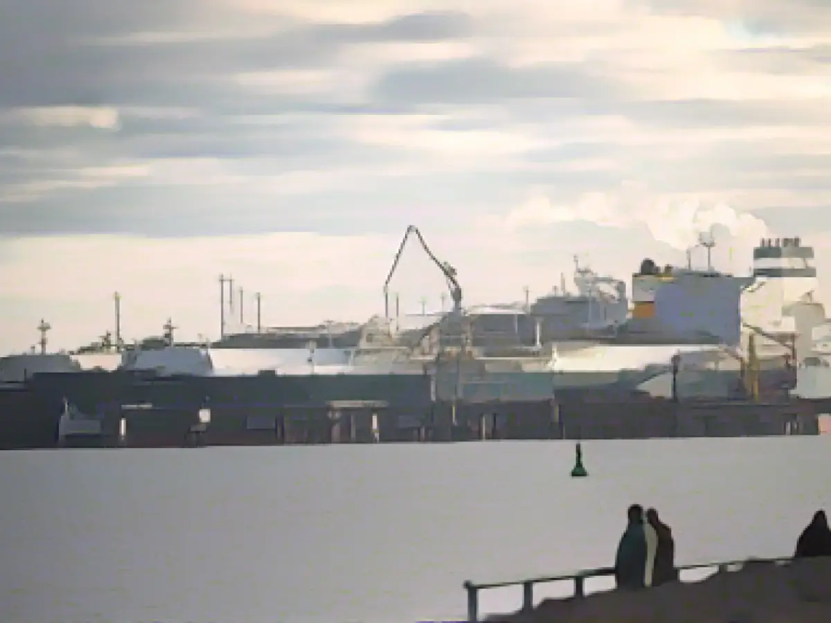 Share of LNG in gas imports remains low