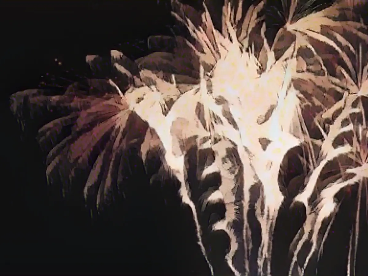 Renunciation of private fireworks on: View on animal welfare