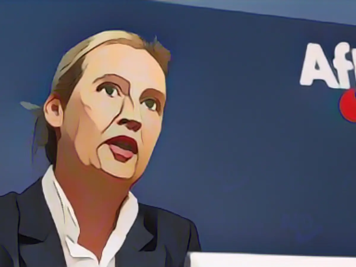 Report: University investigates suspected plagiarism against AfD leader Weidel