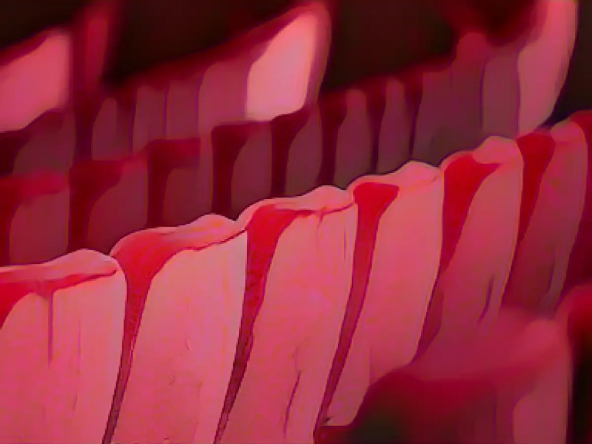 Kulturstiftung Sachsen supports 193 projects