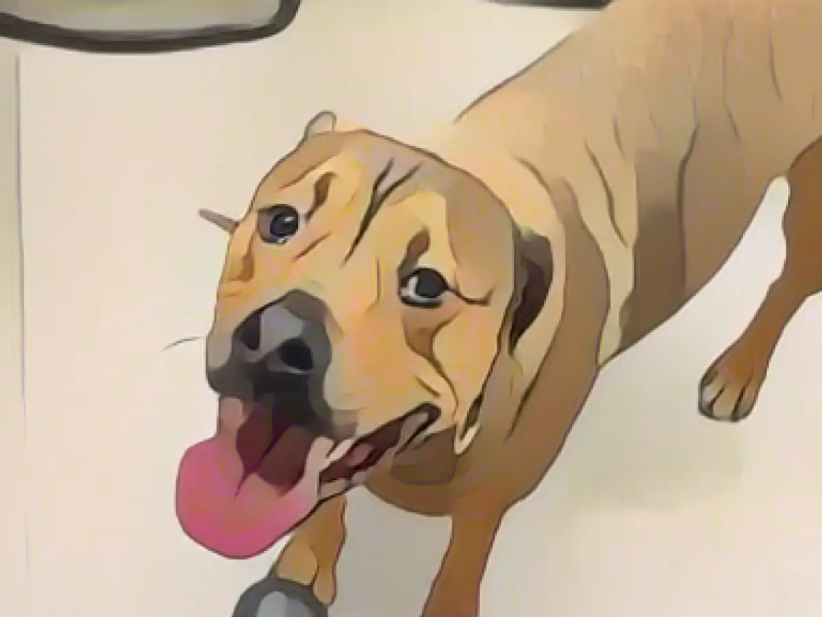 Bitch travels on train from Detmold to Bielefeld without owner