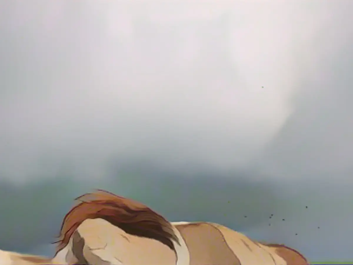 Saturday will be cloudy in Saxony - intermittent sunshine