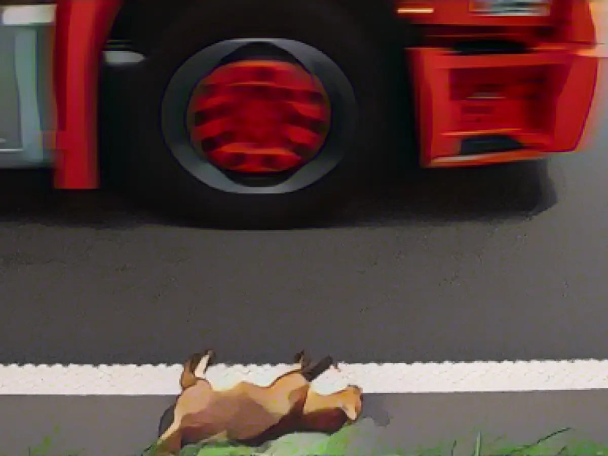 Wildlife accident involving a deer and two cars in Swabia
