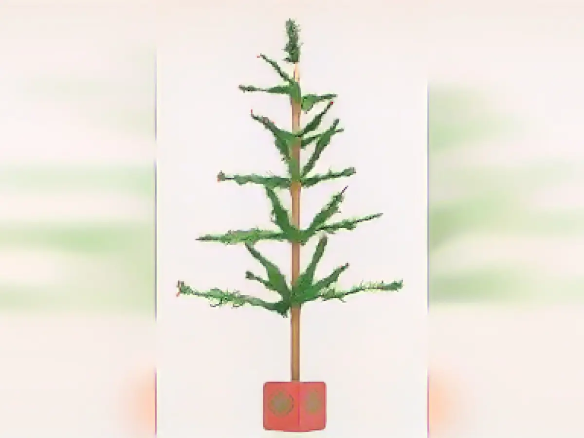 World's 'most humble' Christmas tree, sold for pennies, sells for $4,000 at auction