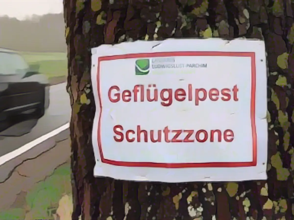 Festive roasts not in danger due to rise in bird flu