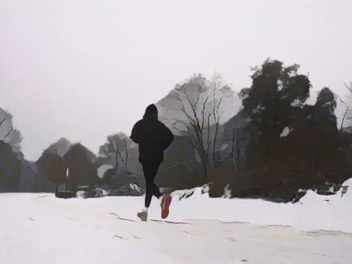 Meteorologist: No north German winter fairytale in sight