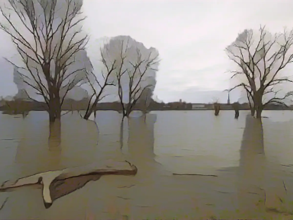 Rhine floods recede