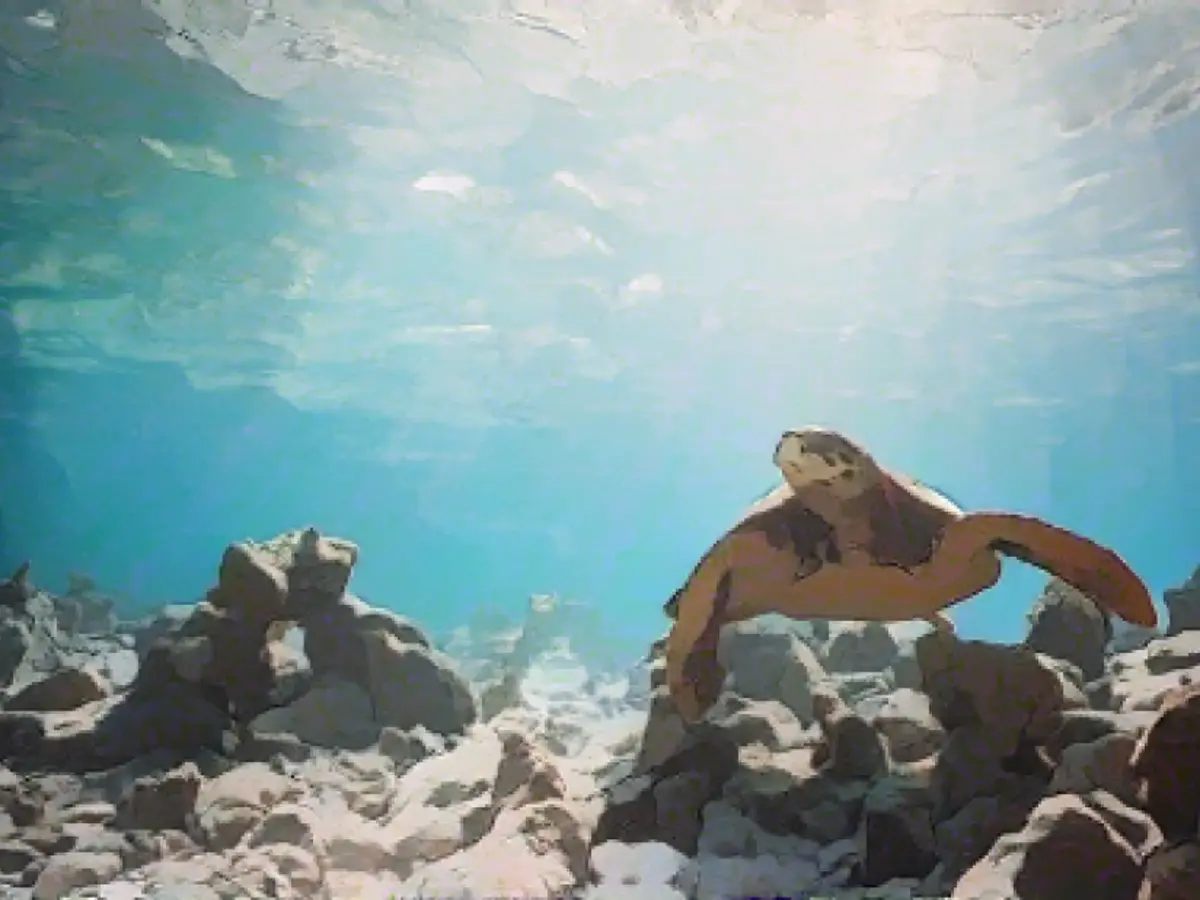 Travel News: Pilot cockpit battles, 1,000km/h trains and underwater adventures