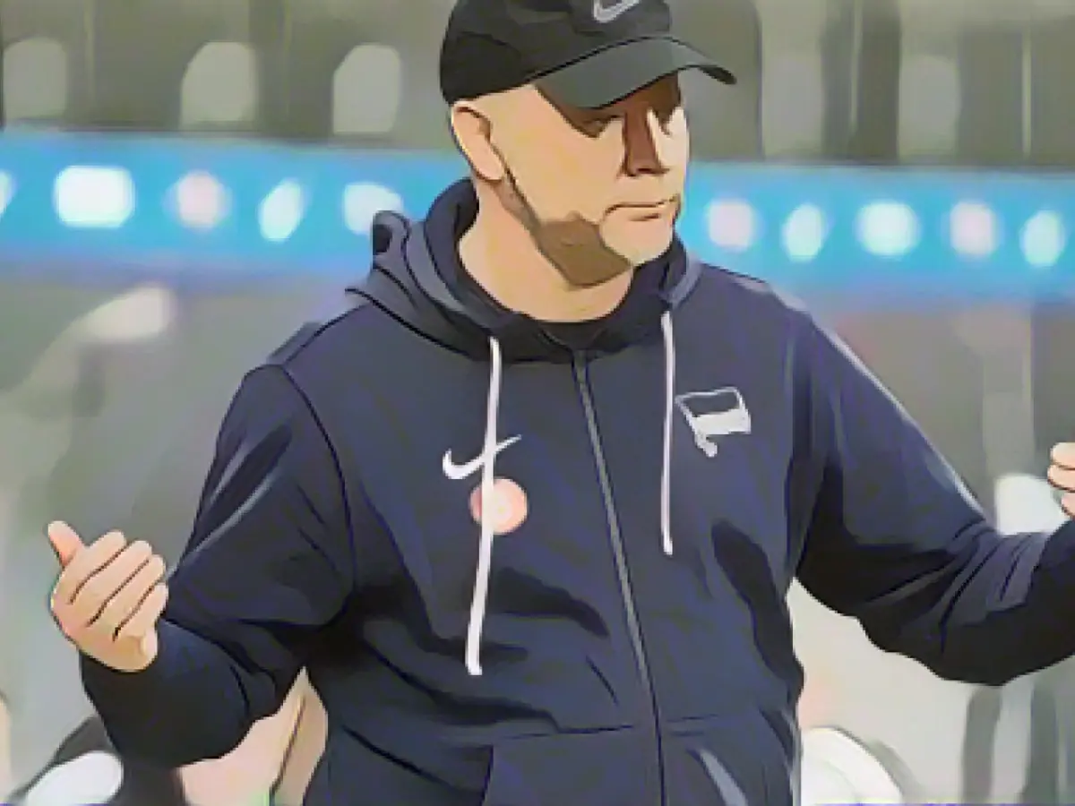 Instead of transfers: Hertha's Dardai hopes for returnees