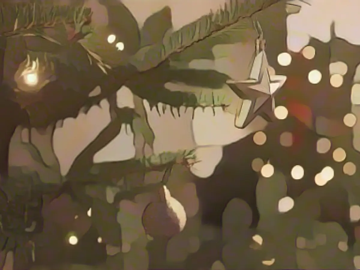 Fir trees in check: What you should look out for when buying