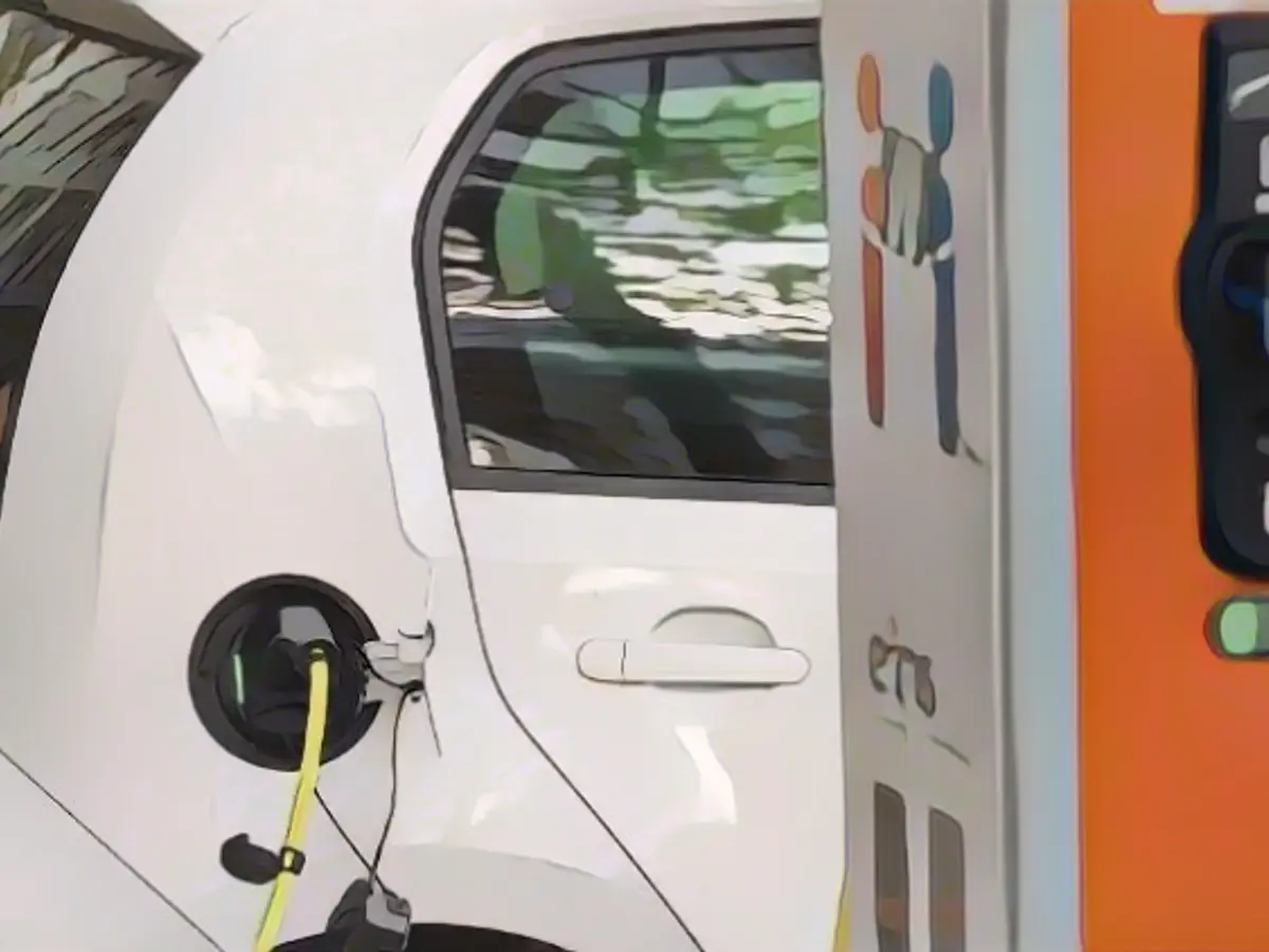 E-car subsidy gone, trust gone