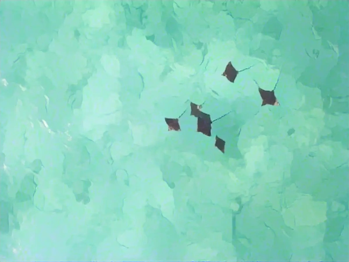 Tourists stay in Seychelles for several months