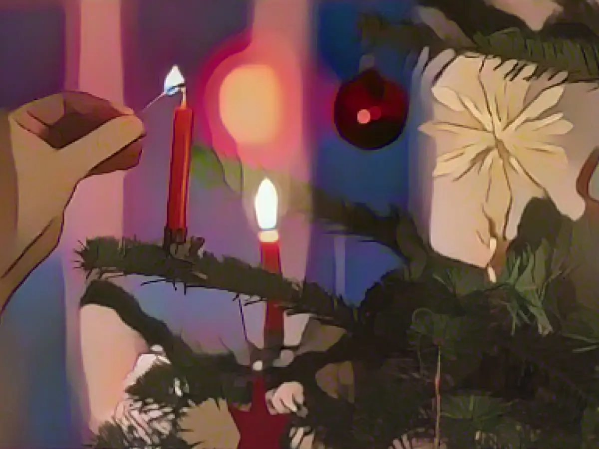 A good 200,000 Christmas trees are imported