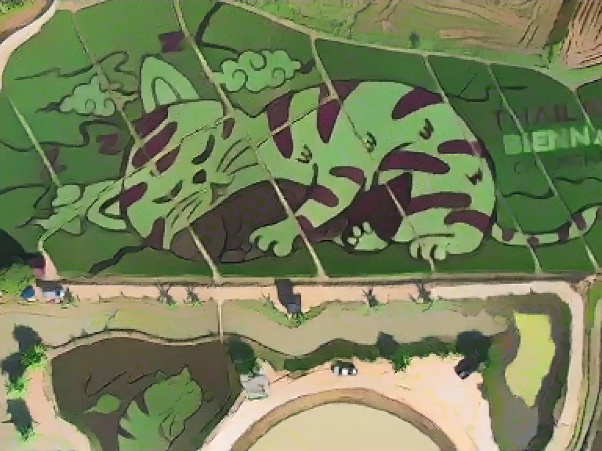 Thai farmer creates cat-themed artwork in his rice fields