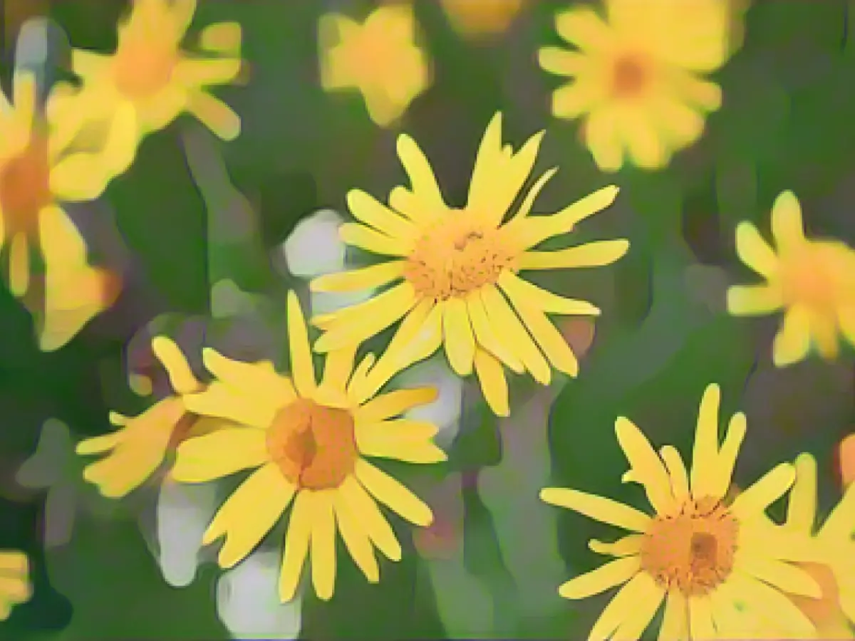 Red List of ferns and flowering plants