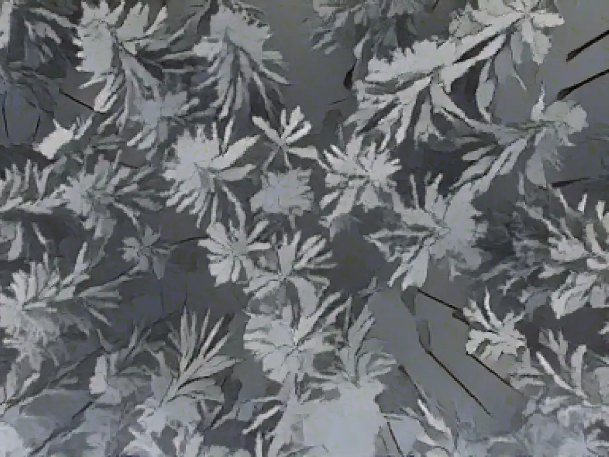 Fresh snow again in the Thuringian Forest: only one trail groomed