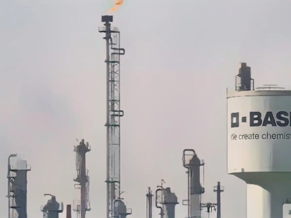 BASF appoints new CEO