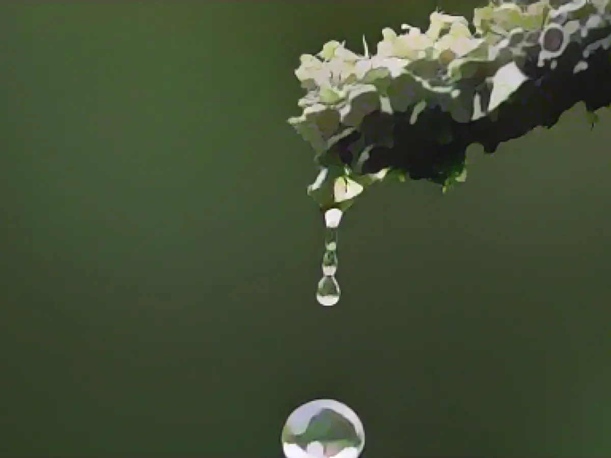 Storm depression moves away: rain expected on Christmas Eve