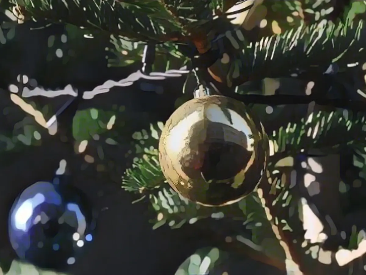 20-meter fir tree kills woman in Belgium