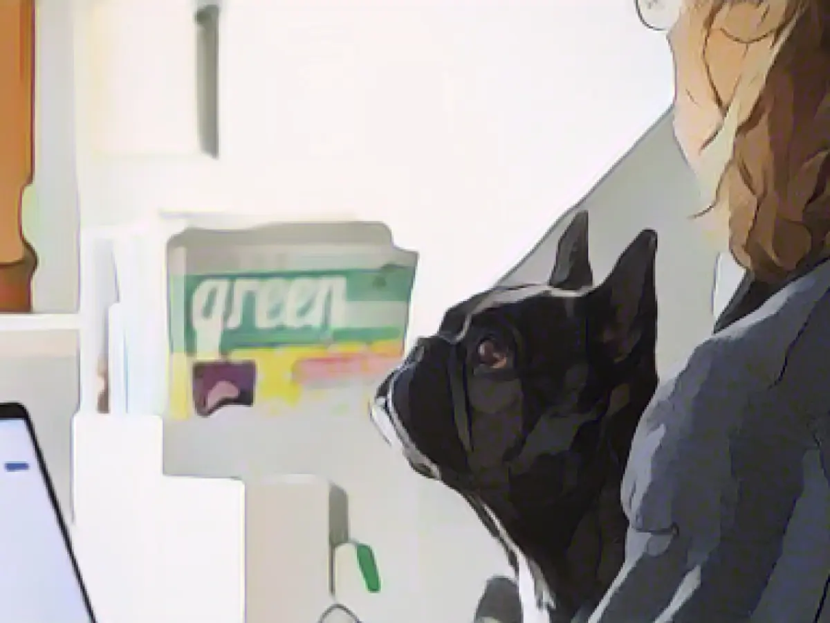 "They feel comfortable here": How dogs have influenced the mood in offices since corona