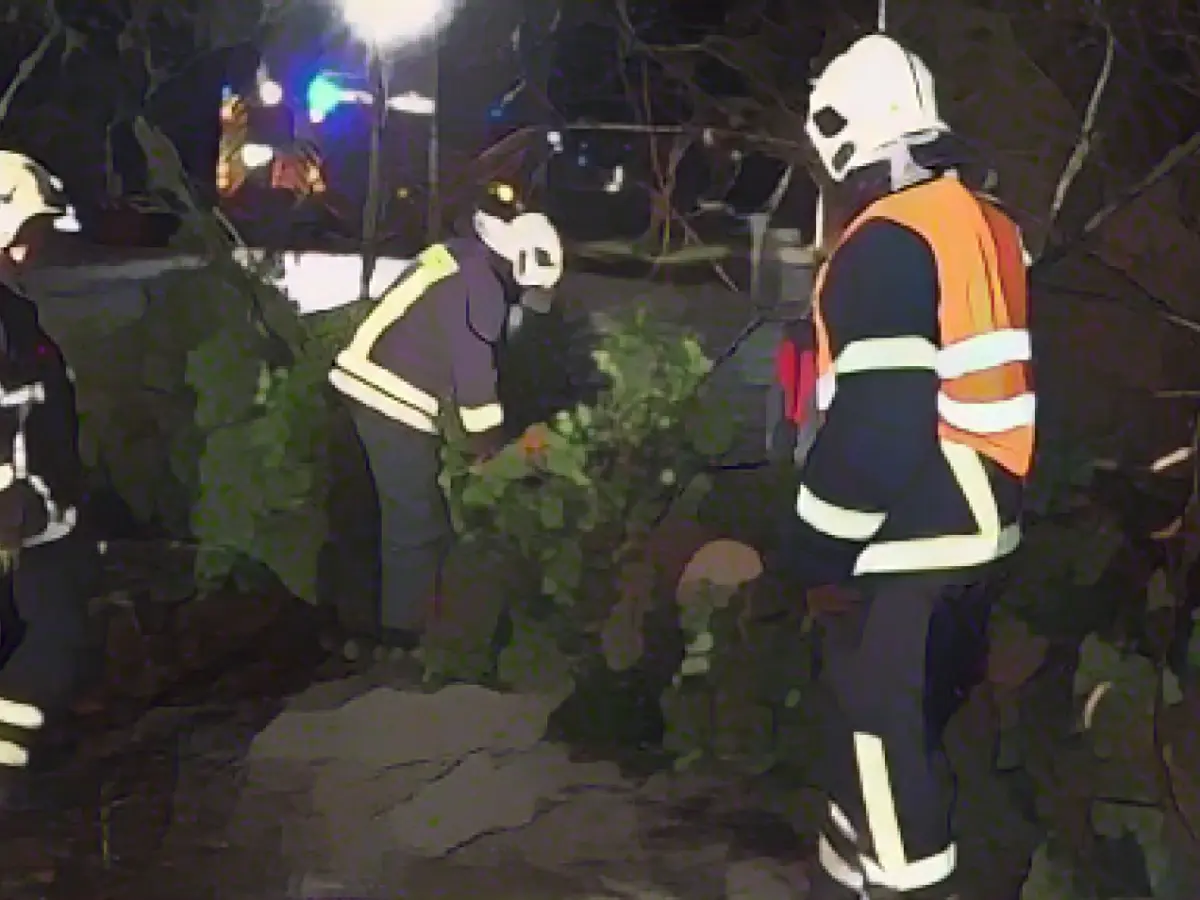 After the night of the storm: cleaning up in Berlin and Brandenburg