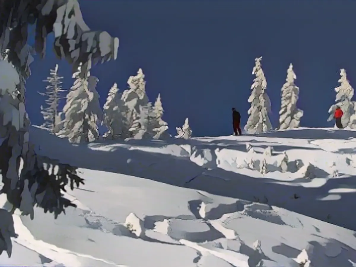 Snow in abundance: Acting correctly in the event of avalanche danger