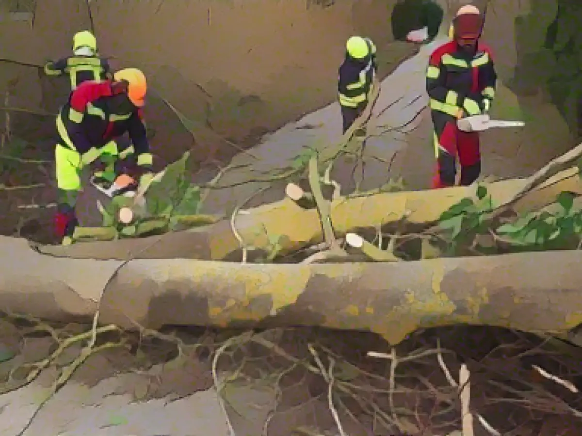 Pegel thanks emergency services after storm "Zoltan"