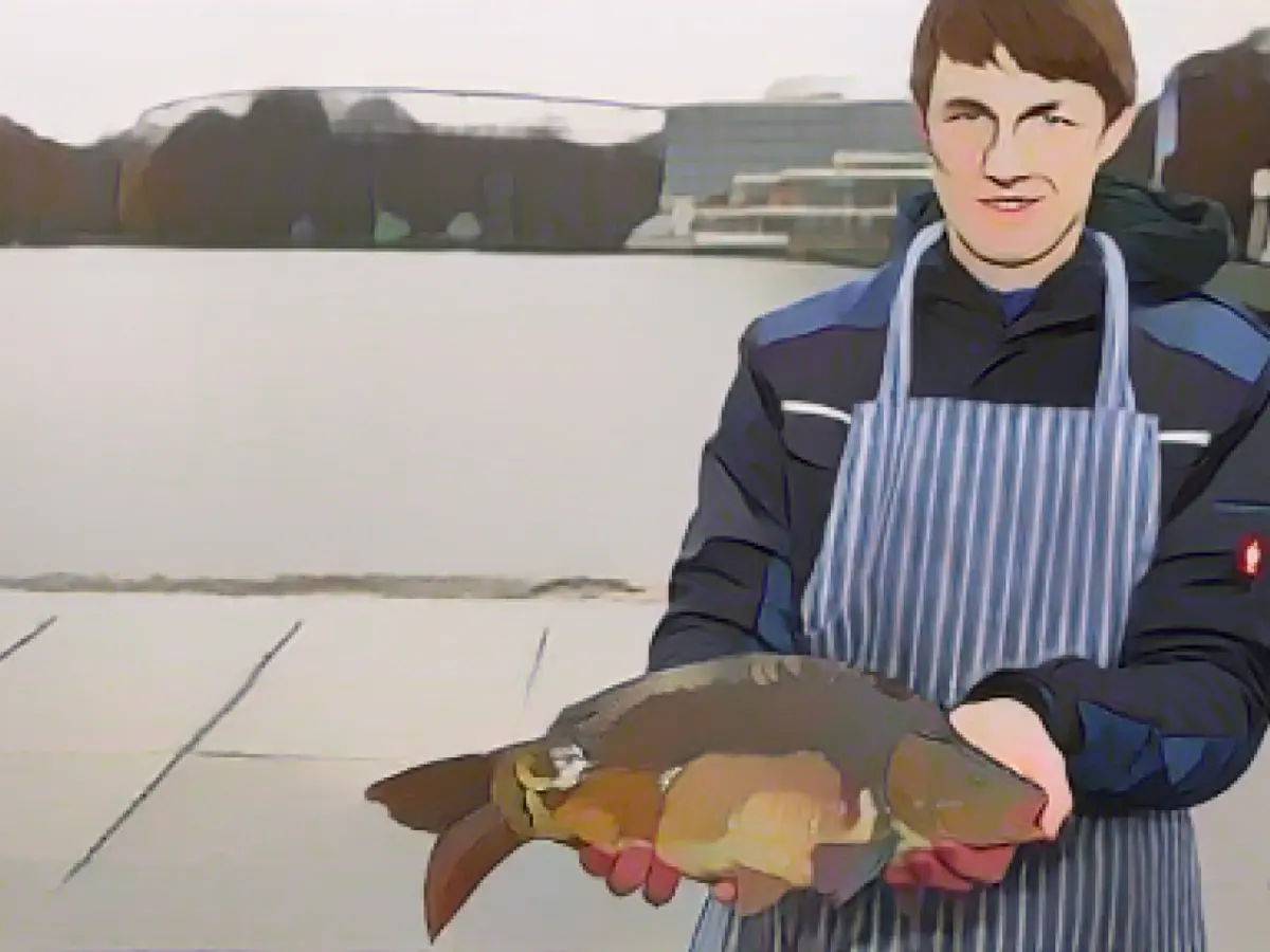 Sale of Maschsee carp launched