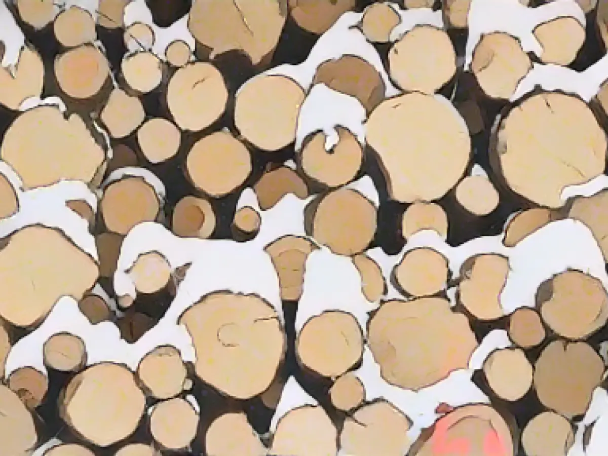 Number of timber thefts on the rise in many federal states