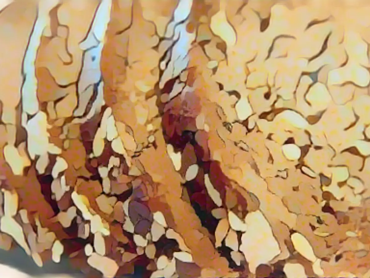 Fact check: How much protein is healthy?