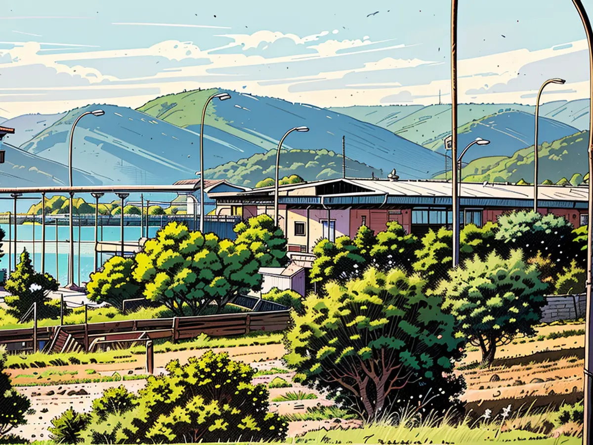 Four adolescent Germans have been granted freedom from custody in Mallorca, following over a year of preliminary imprisonment.