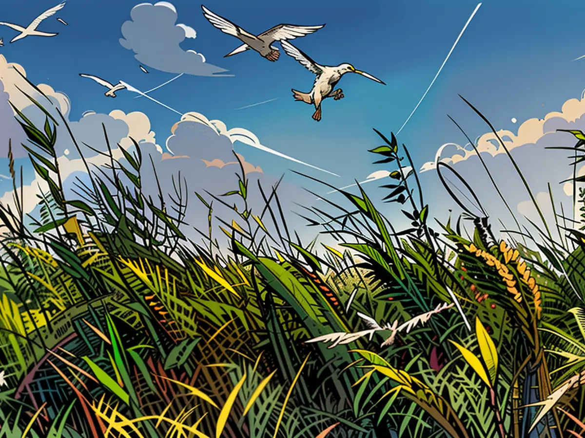 Upcoming German Eco Award in 2024 Honors Moor Specialist and Engineer